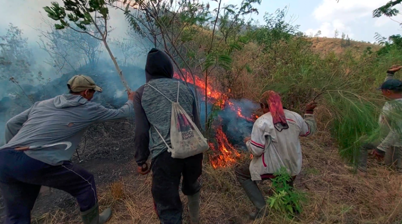 Luas Lahan Hutan Lindung Sisi Utara Gunung Abang Yang Terbakar Mencapai ...